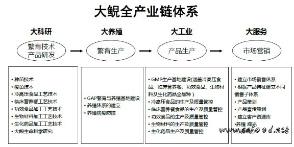 娃娃鱼 大鲵